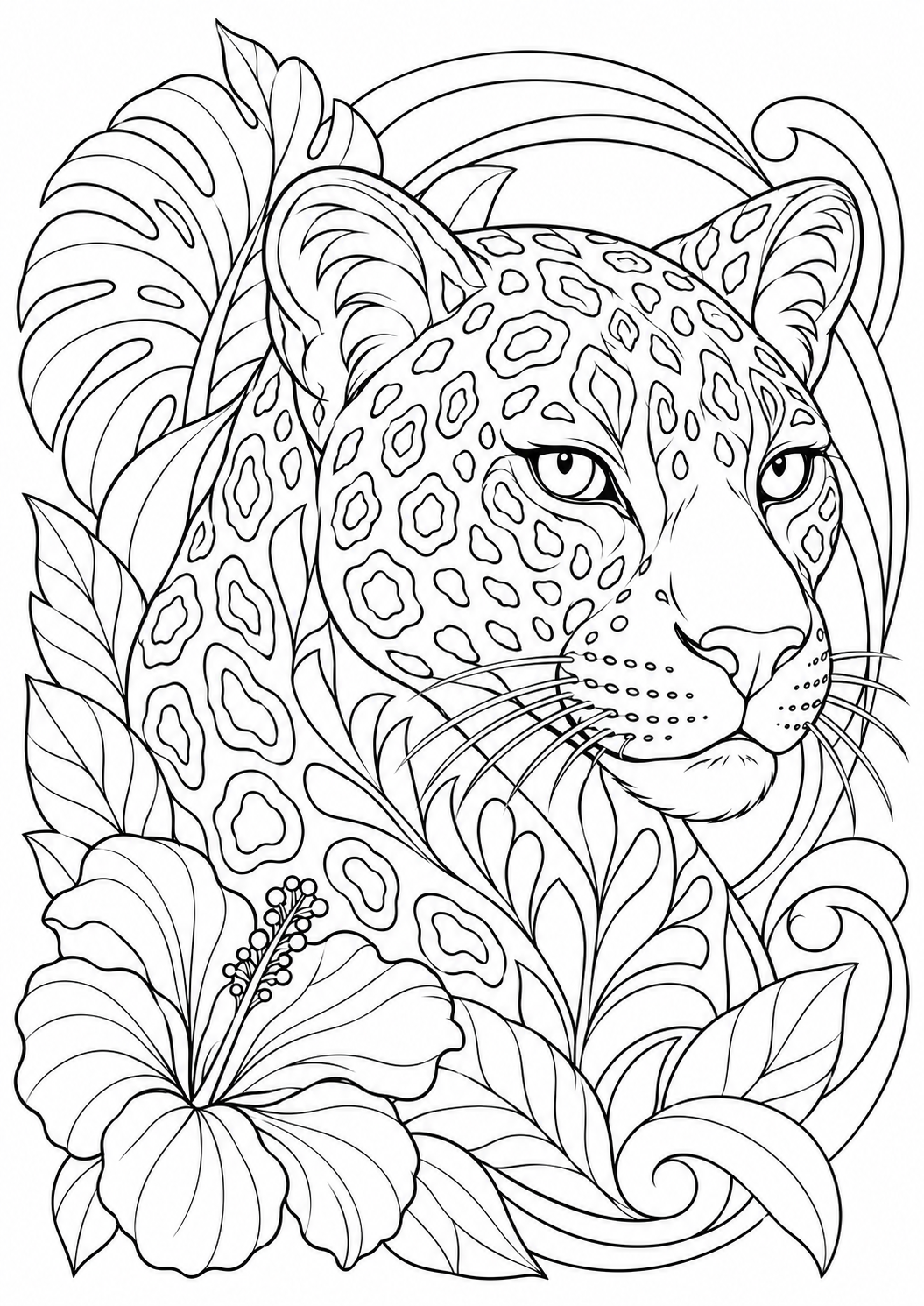 The leopard’s ornamental spots